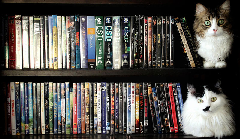 A photo of DVD&rsquo;s on shelf.